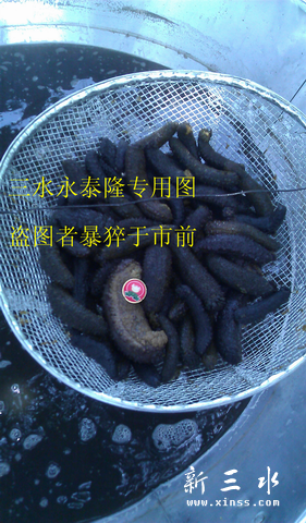 调整大小 new-IMAG0571.jpg