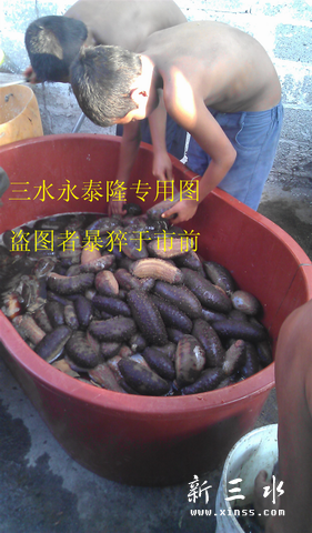 调整大小 new-IMAG0626.jpg