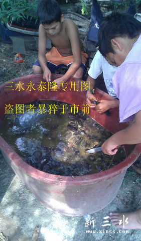 调整大小 new-IMAG1036.jpg