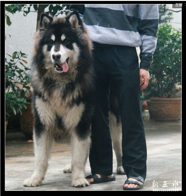 未命名.jpg