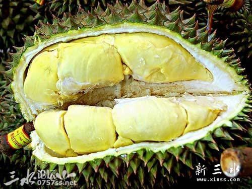 215322ynqzb1zrsivn2qlq.jpg