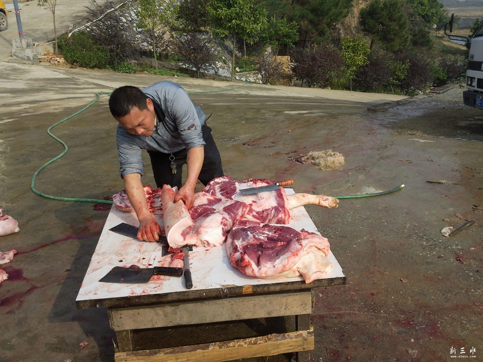 这才是真正的土猪肉
