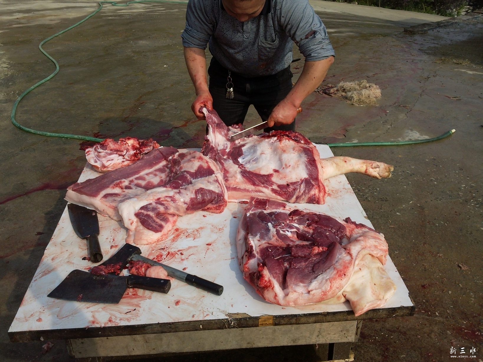 这才是真正的土猪肉