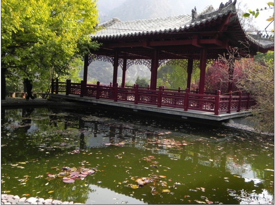 配图5.jpg