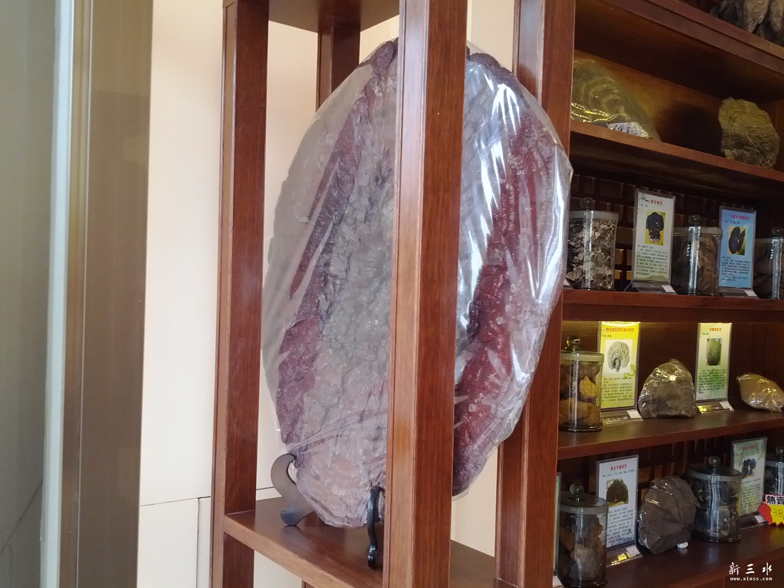 C360_2013-01-20-11-59-41_org.jpg