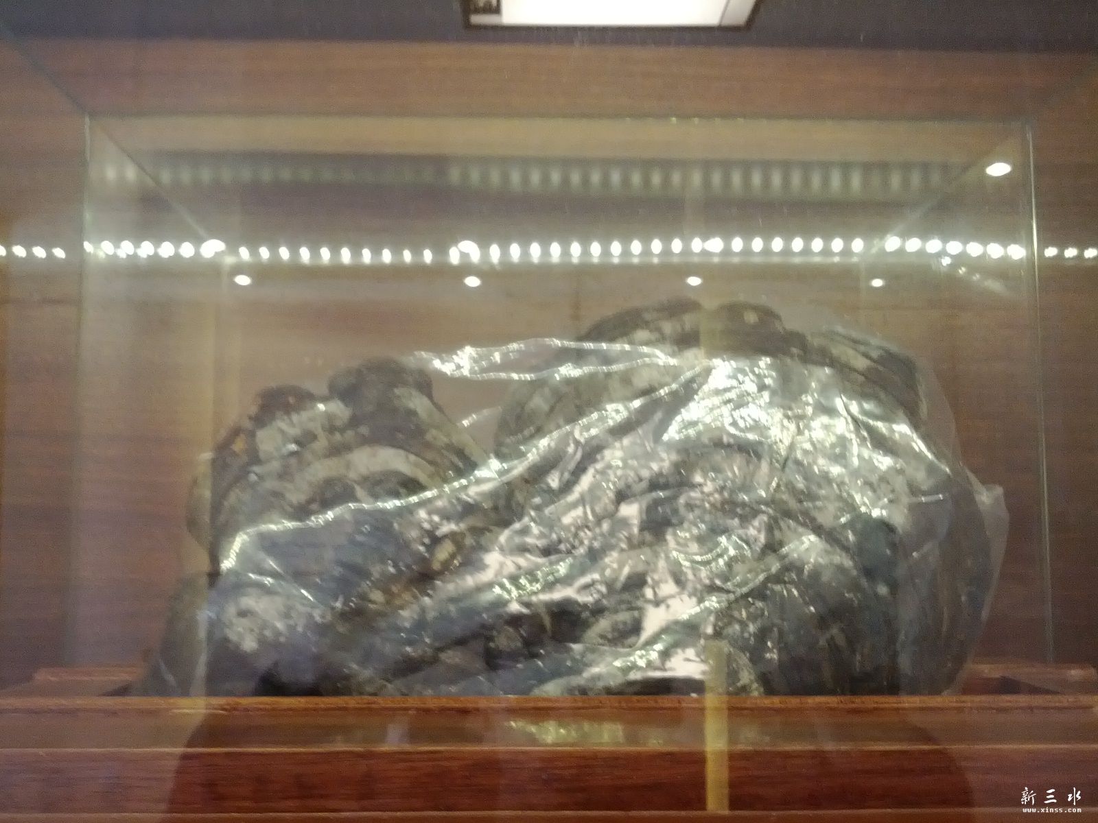 C360_2013-01-20-12-00-12_org.jpg