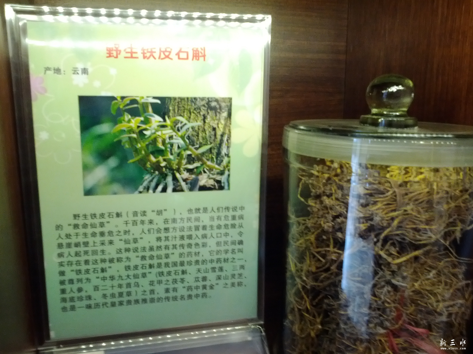 C360_2013-01-20-12-00-33_org.jpg