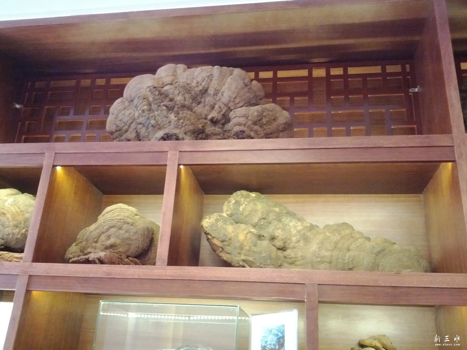 C360_2013-01-20-12-01-59_org.jpg
