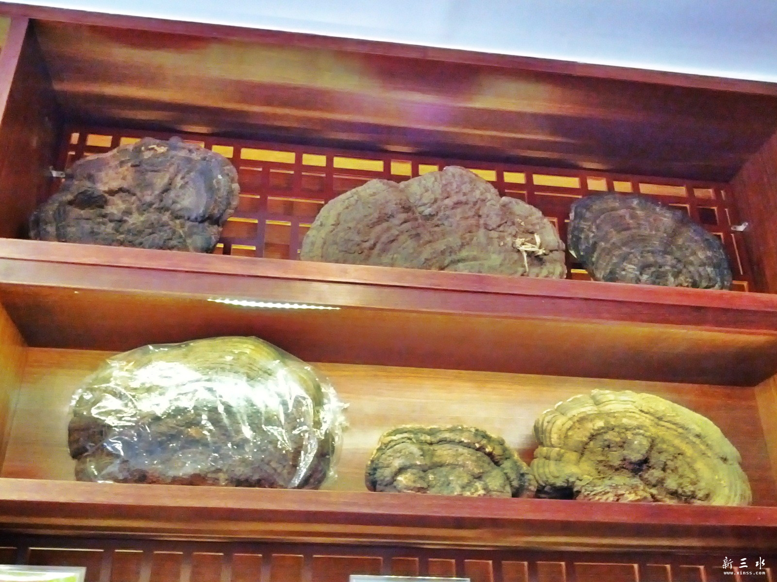 C360_2013-01-20-12-02-09.jpg