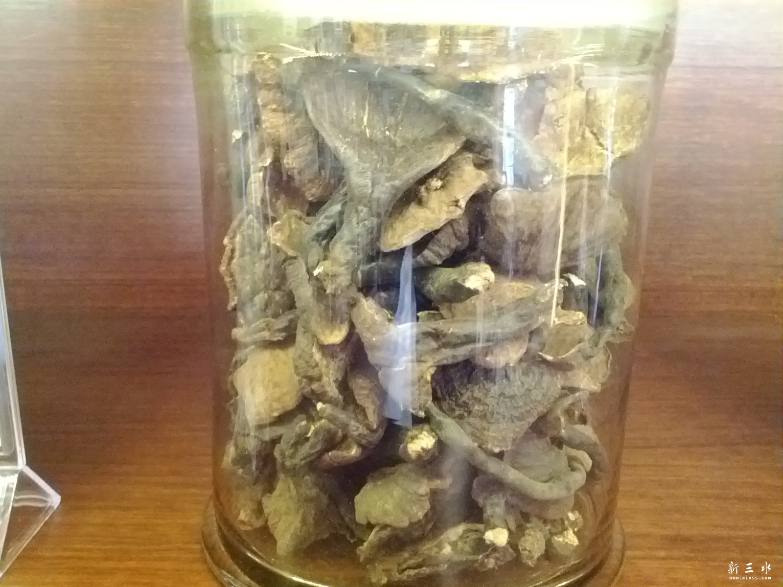 C360_2013-01-20-12-03-25_org.jpg