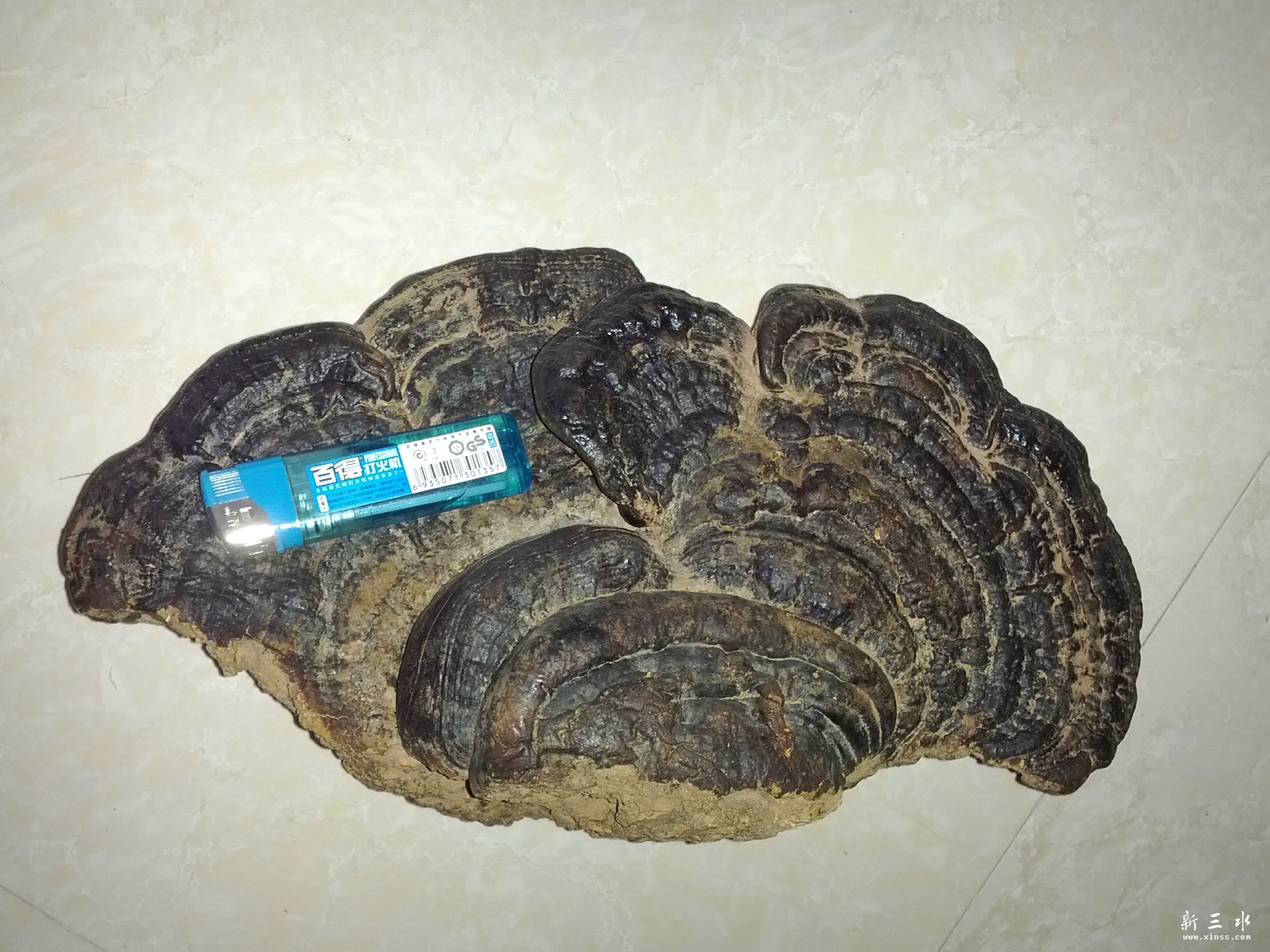 C360_2013-01-25-17-35-34_org.jpg