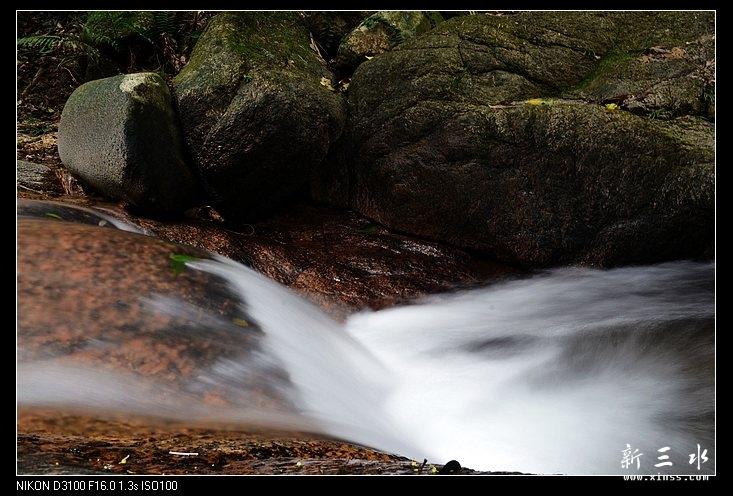 DSC_0178.jpg