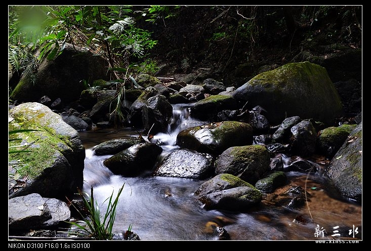DSC_0183.jpg