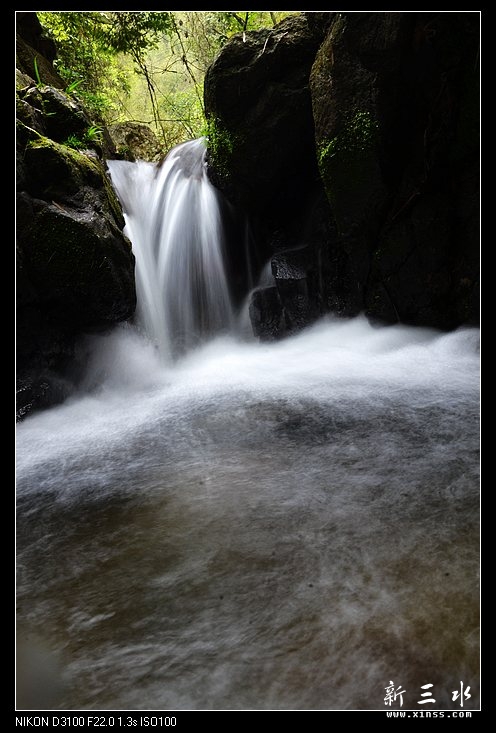 DSC_0193.jpg