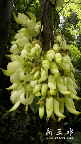 20120409173.jpg