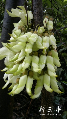 20120409174.jpg