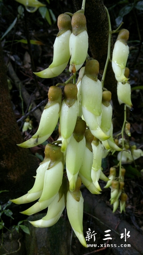 20120409175.jpg