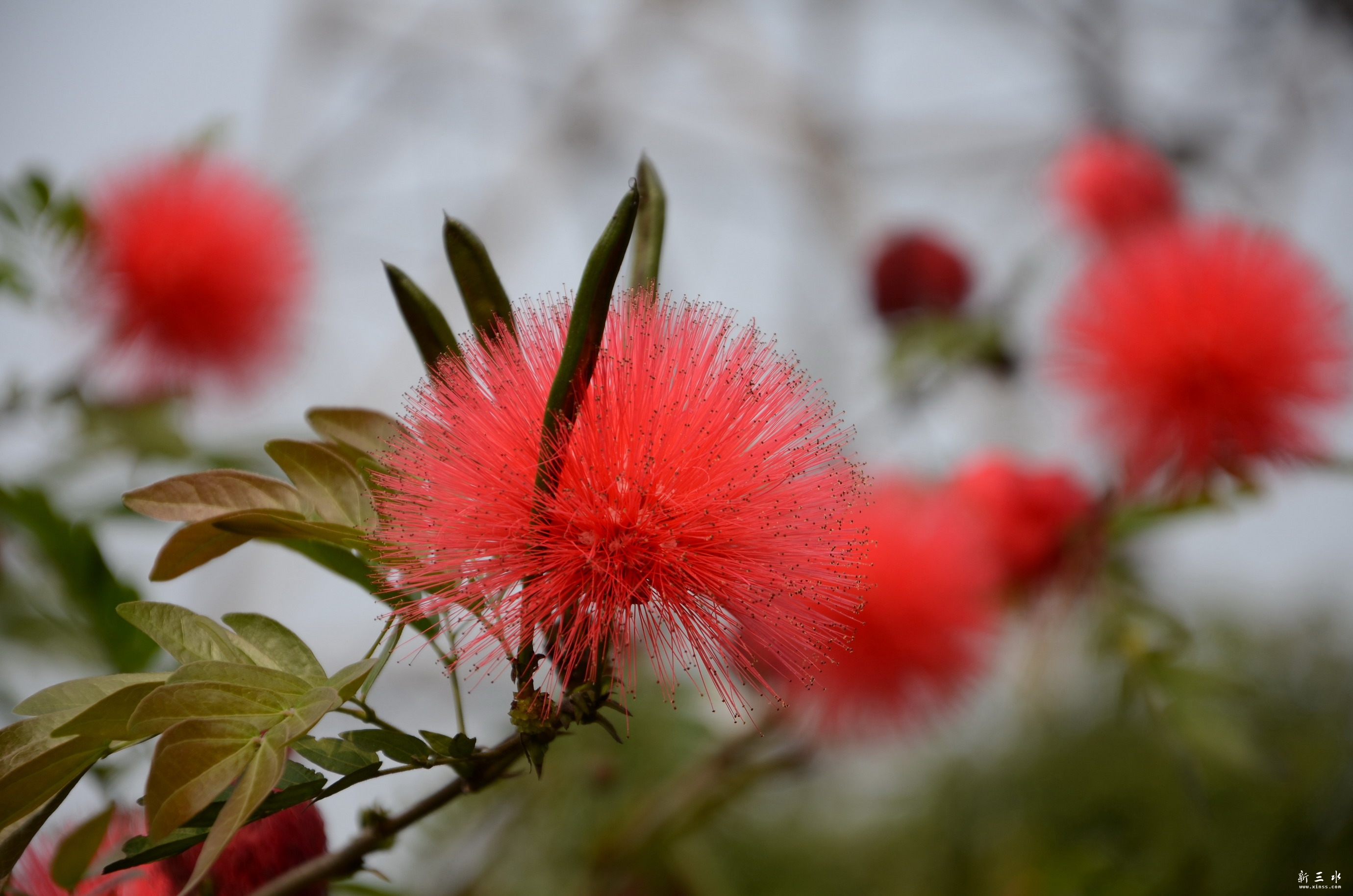 DSC_8320.JPG