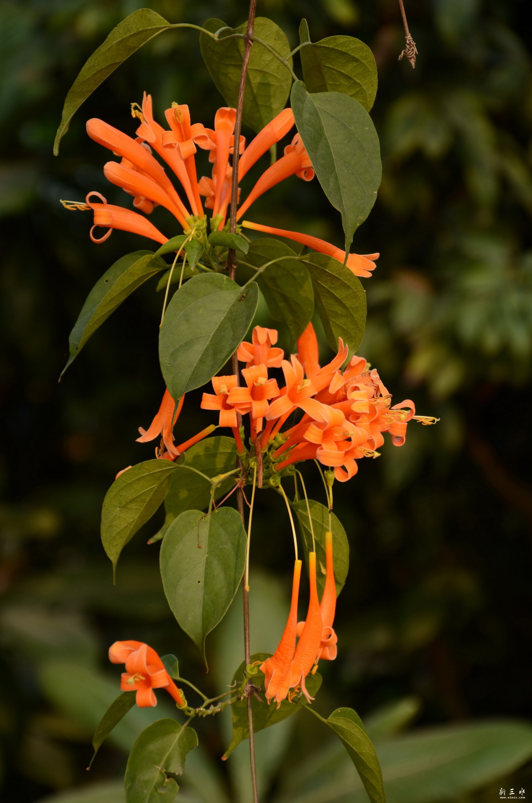 DSC_8414.JPG