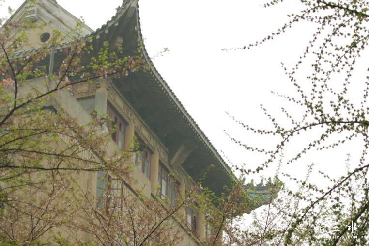 未命名7.jpg