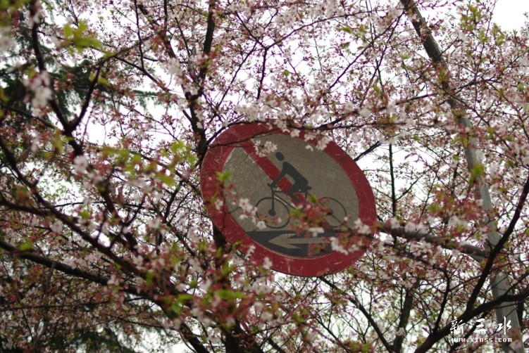 未命名13.jpg