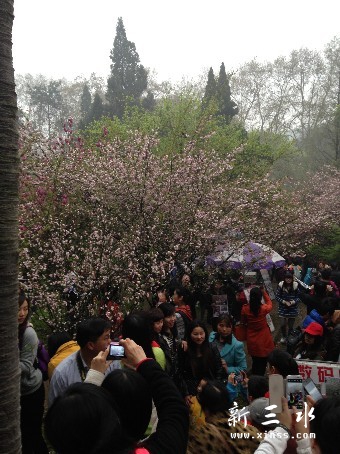 未命名17.jpg