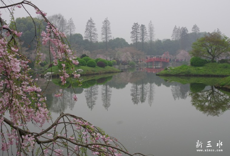 未命名15.jpg