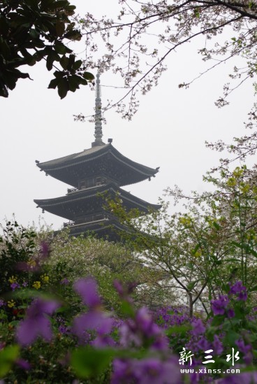 未命名16.jpg