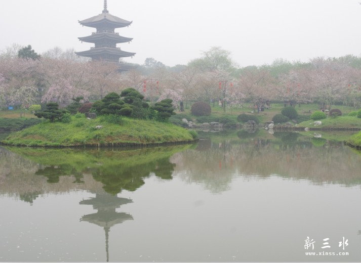 未命名19.jpg