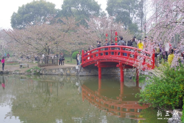 未命名21.jpg