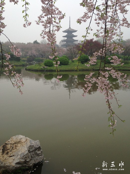 未命名22.jpg