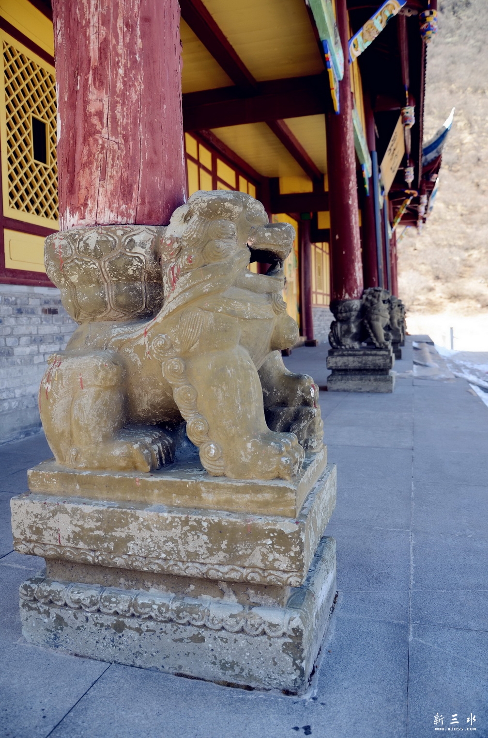 DSC_7969_副本.jpg