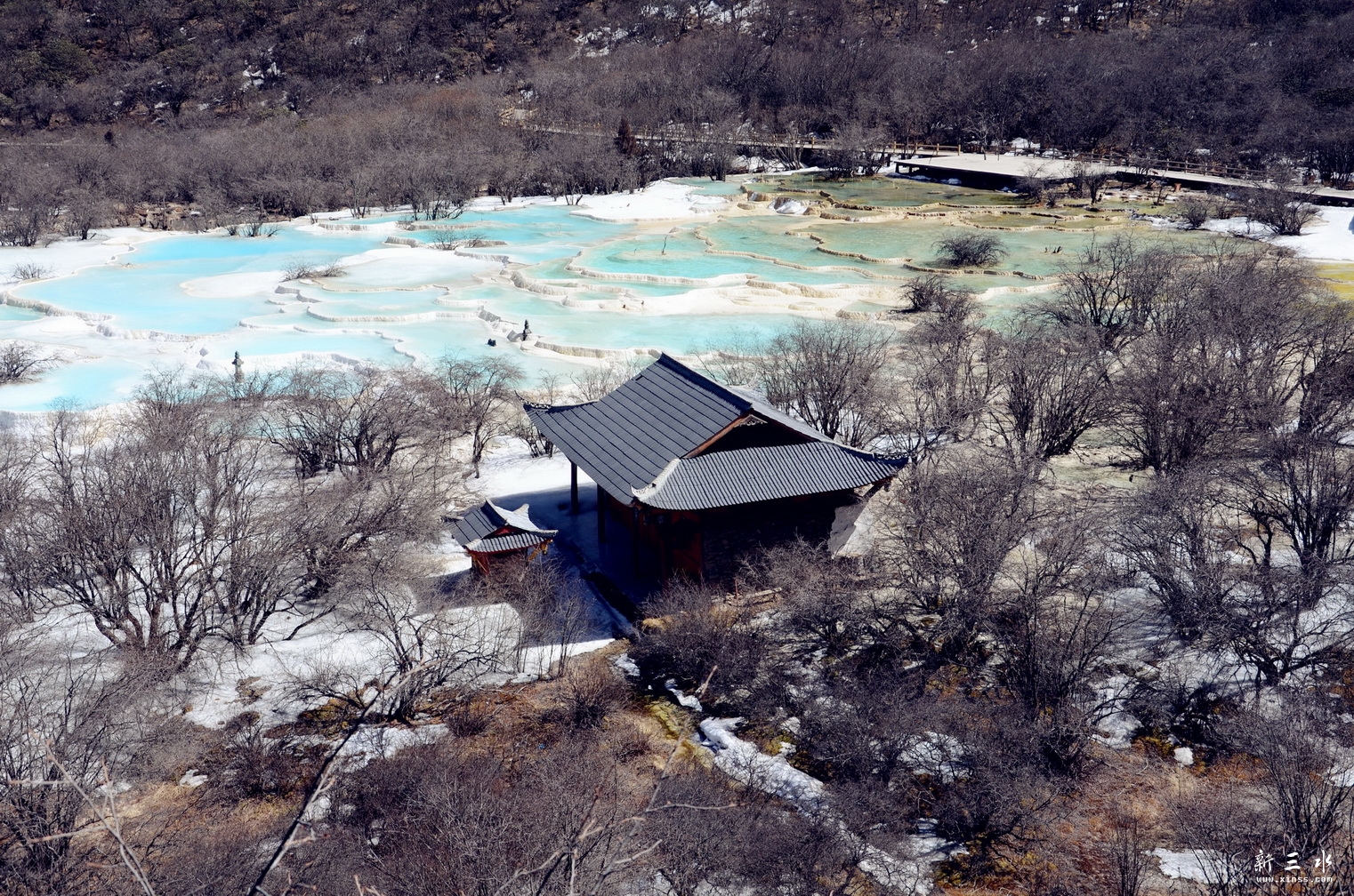 DSC_8028_副本.jpg