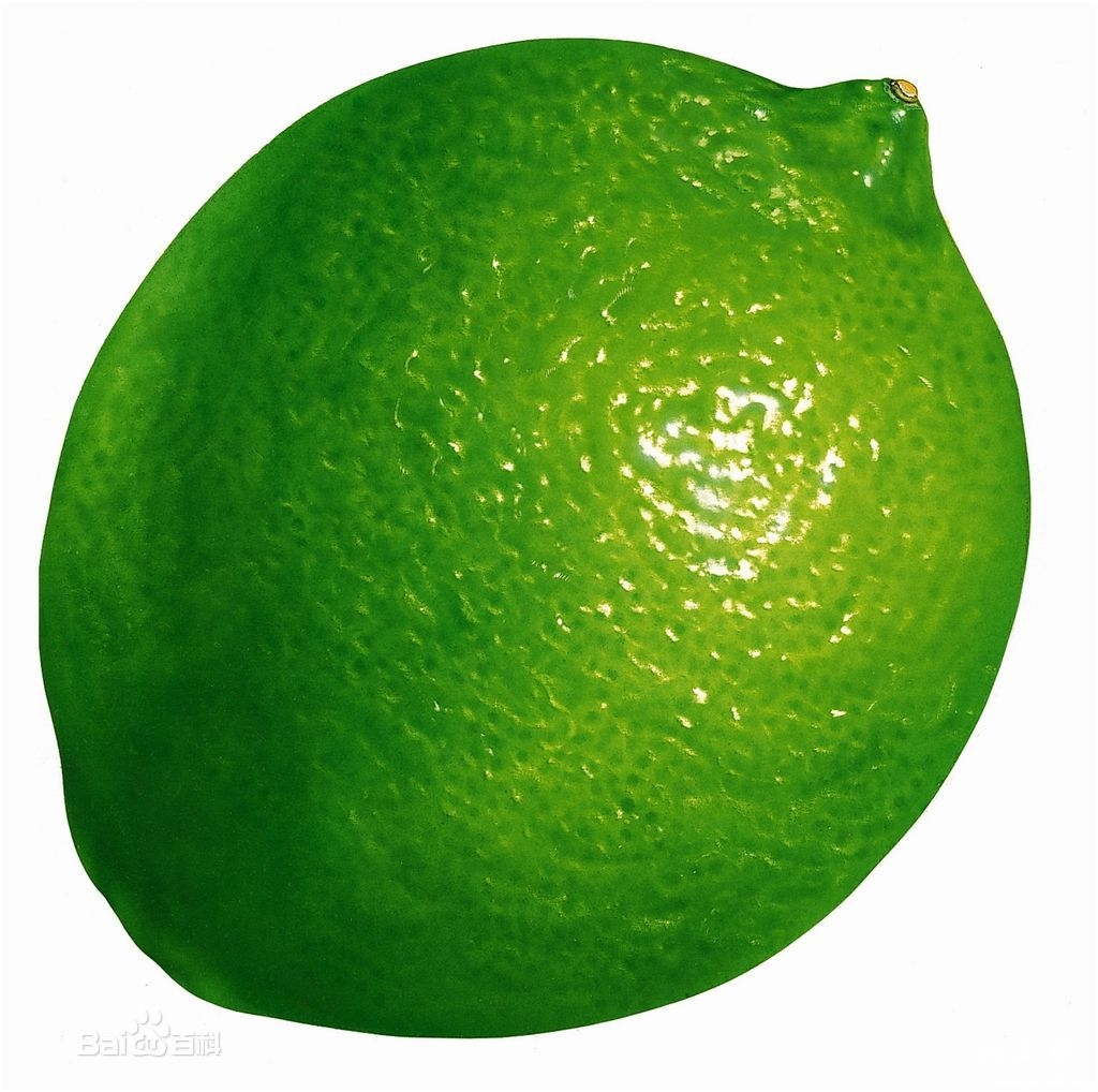 d52a2834349b033b82debeae15ce36d3d439b6003af39d4c.jpg