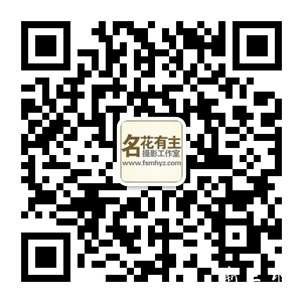 二维码3.jpg