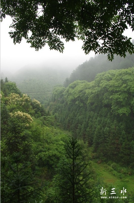 未命名2.jpg