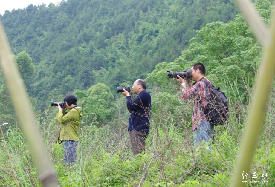 未命名3.jpg