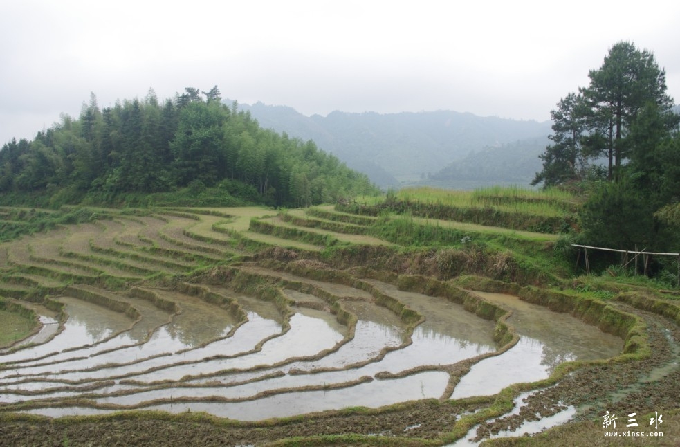 未命名2.jpg