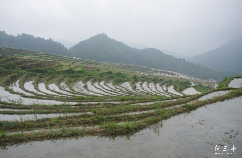 未命名4.jpg
