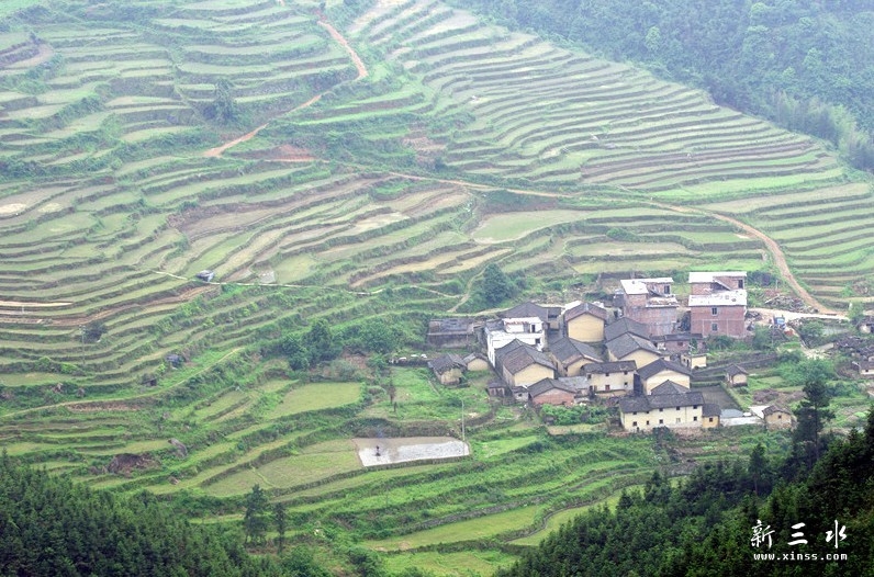 未命名1.jpg