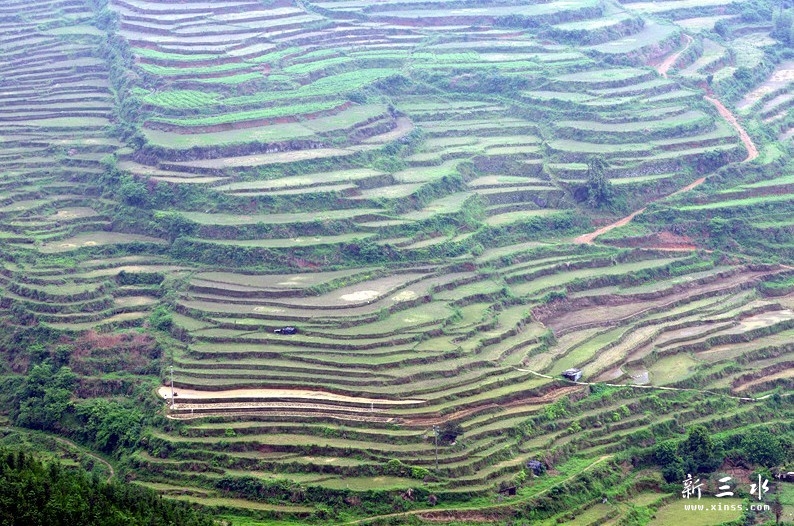 未命名2.jpg