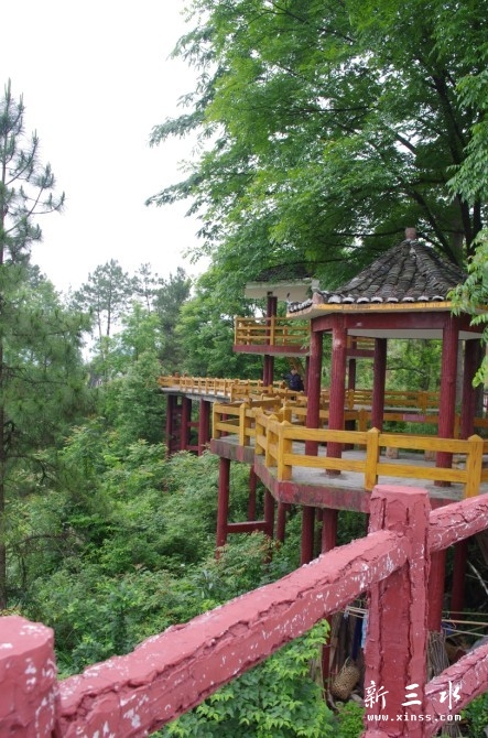 未命名5.jpg
