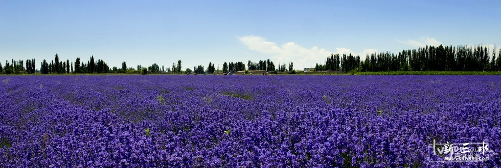  (49) 29381f30e924b89970610f9a6e061d950a7bf637.jpg