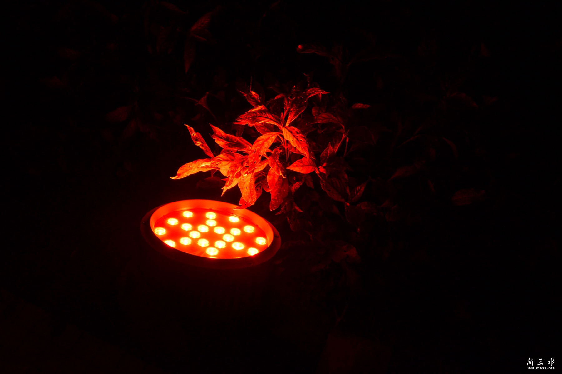 DSC_0041.jpg
