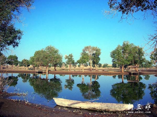  (26) 001966720b730a615fc34c.jpg