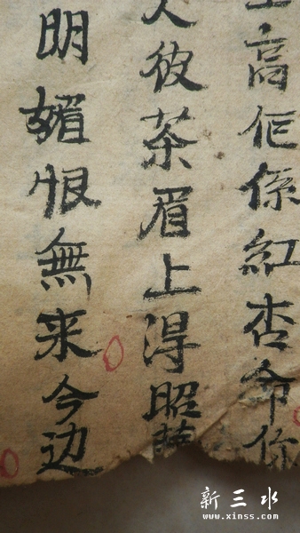 2013-05-18a得t.jpg