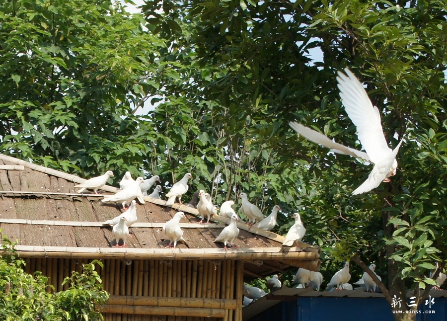 DSC05406.jpg