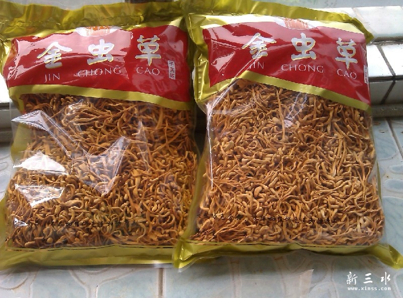 虫草花500g(100元）.jpg