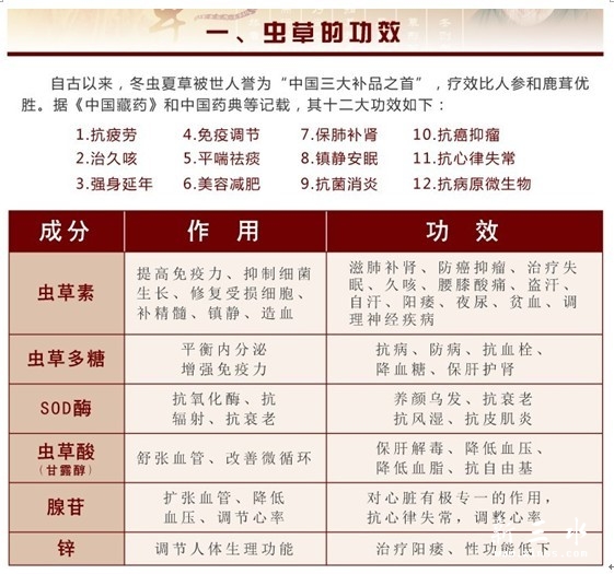 虫草功效.jpg