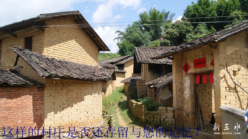 DSC00006_副本.jpg
